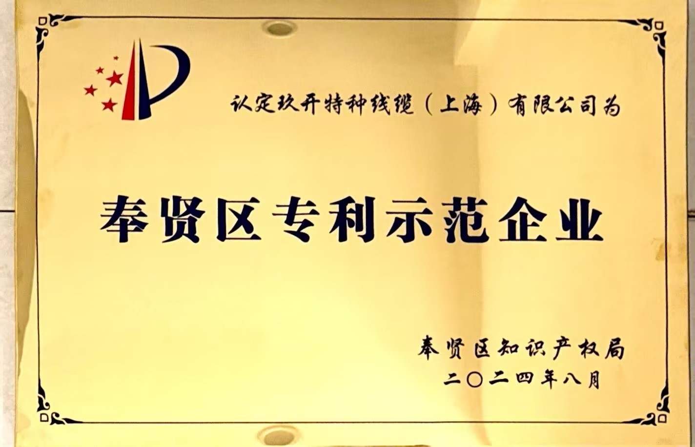 專利示範企業